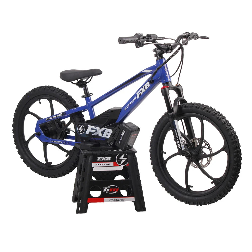 KTX-984403 20 Inch Electric Balance Bike for Kids with Aluminum Frame and 600W Brushless Motor