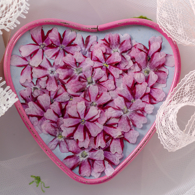 KTX-986067 Dried Flower Bookmark Accessories - Natural Cherry Blossom & Verbena Specimens for Crafting