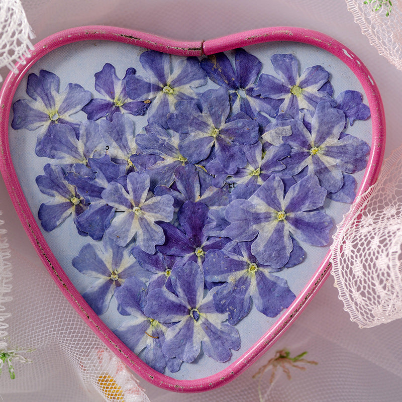 KTX-986067 Dried Flower Bookmark Accessories - Natural Cherry Blossom & Verbena Specimens for Crafting