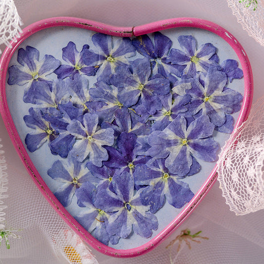 KTX-986067 Dried Flower Bookmark Accessories - Natural Cherry Blossom & Verbena Specimens for Crafting