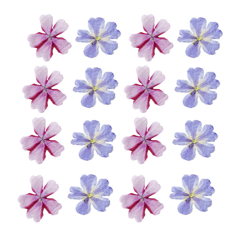 KTX-986067 Dried Flower Bookmark Accessories - Natural Cherry Blossom & Verbena Specimens for Crafting