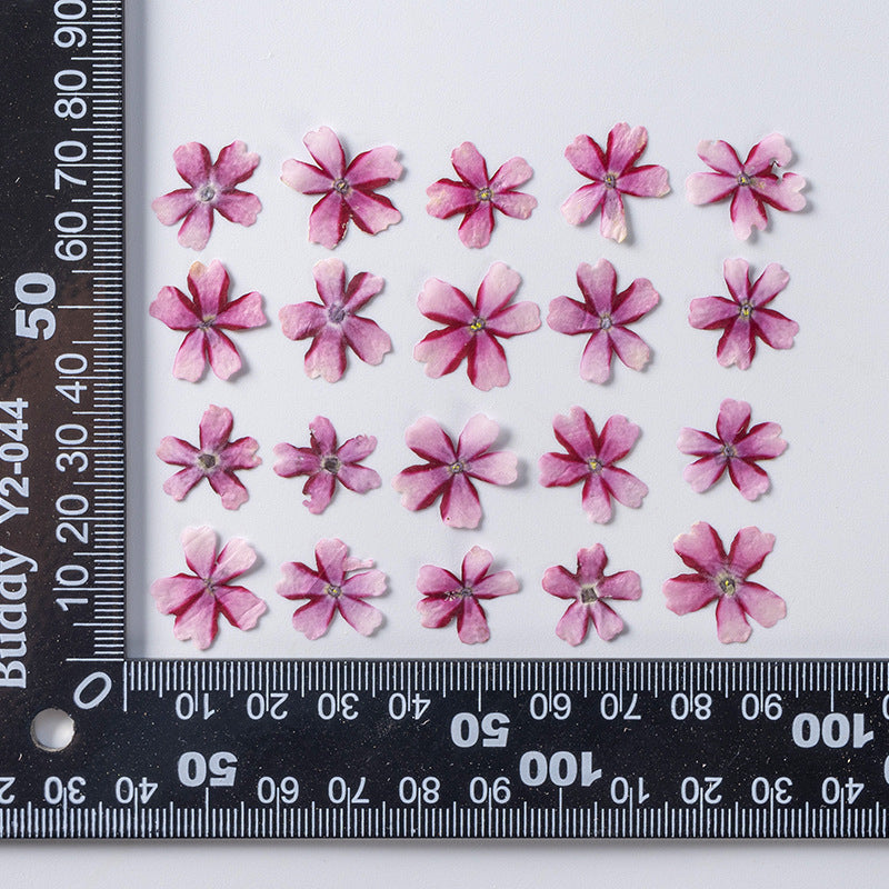 KTX-986067 Dried Flower Bookmark Accessories - Natural Cherry Blossom & Verbena Specimens for Crafting