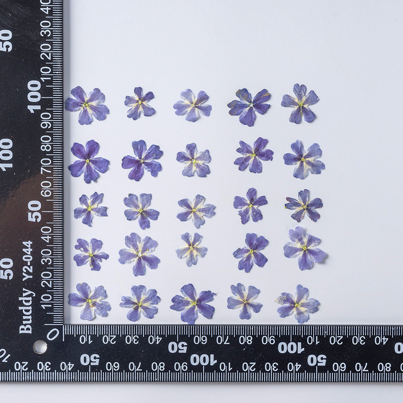 KTX-986067 Dried Flower Bookmark Accessories - Natural Cherry Blossom & Verbena Specimens for Crafting