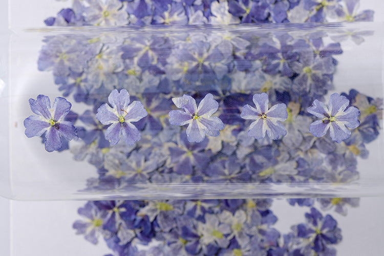 KTX-986067 Dried Flower Bookmark Accessories - Natural Cherry Blossom & Verbena Specimens for Crafting