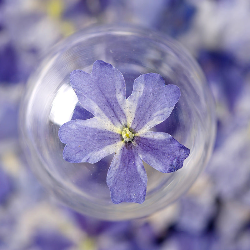 KTX-986067 Dried Flower Bookmark Accessories - Natural Cherry Blossom & Verbena Specimens for Crafting