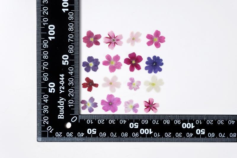 KTX-986067 Dried Flower Bookmark Accessories - Natural Cherry Blossom & Verbena Specimens for Crafting