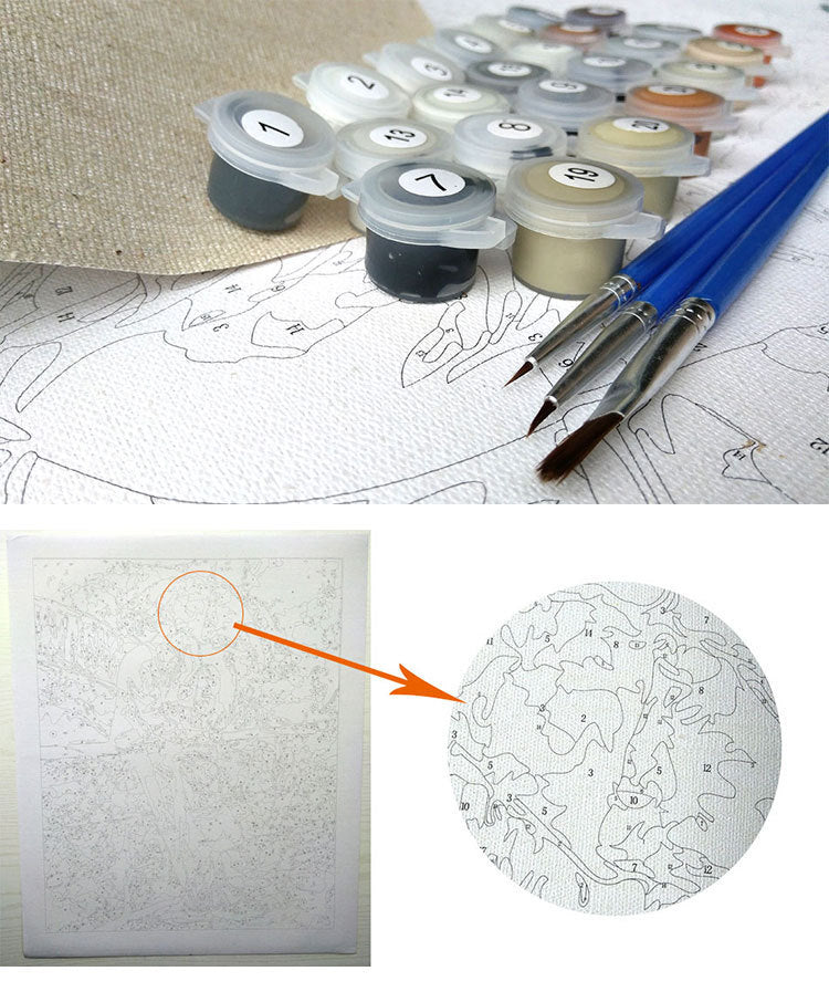 KTX-987219 DIY White Flower Painting - Canvas Painting By Numbers Kit, Unframed, 40x50 cm, Includes Paints and Brushes