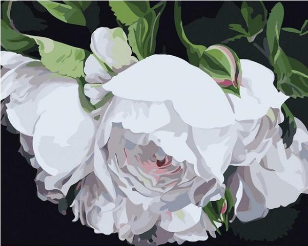 KTX-987219 DIY White Flower Painting - Canvas Painting By Numbers Kit, Unframed, 40x50 cm, Includes Paints and Brushes