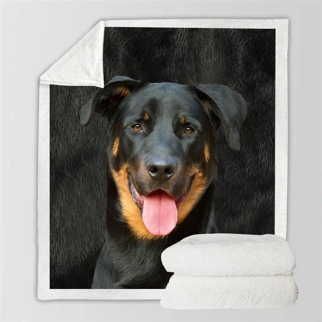 KTX-991315 Double-Sided Flannel Blanket for Air Conditioning - Soft Polyester Fiber, Ins Style, Multiple Fabric Weights