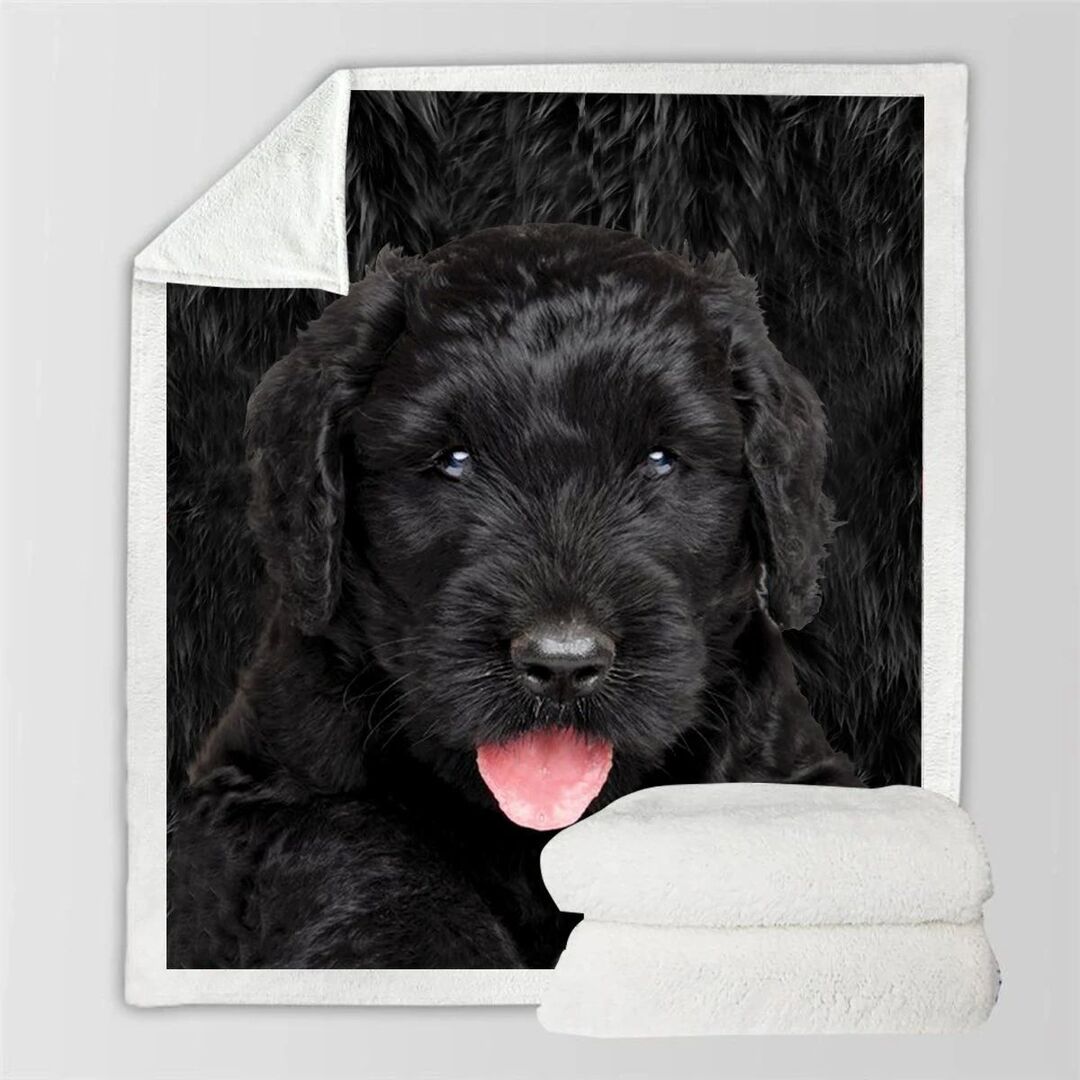 KTX-991315 Double-Sided Flannel Blanket for Air Conditioning - Soft Polyester Fiber, Ins Style, Multiple Fabric Weights