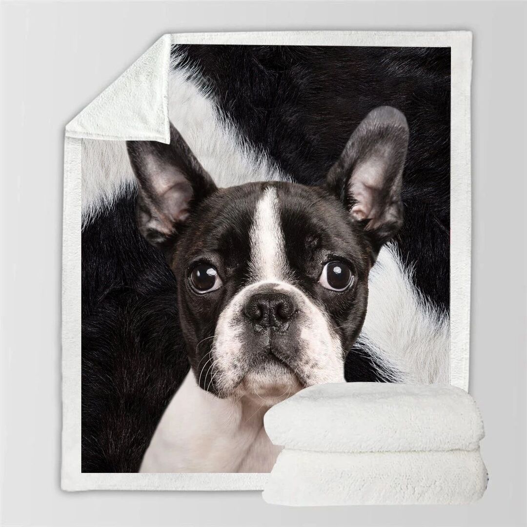 KTX-991315 Double-Sided Flannel Blanket for Air Conditioning - Soft Polyester Fiber, Ins Style, Multiple Fabric Weights