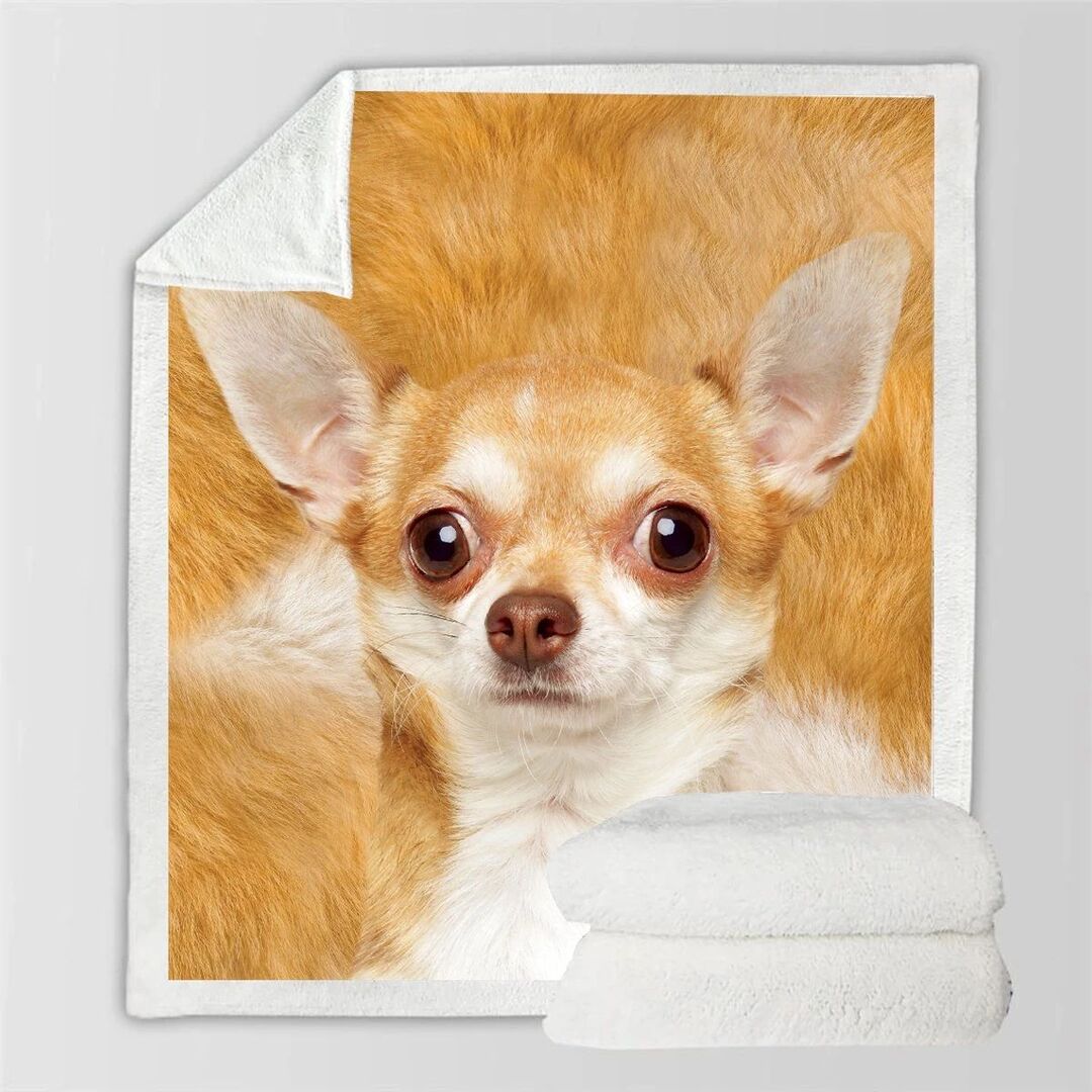 KTX-991315 Double-Sided Flannel Blanket for Air Conditioning - Soft Polyester Fiber, Ins Style, Multiple Fabric Weights