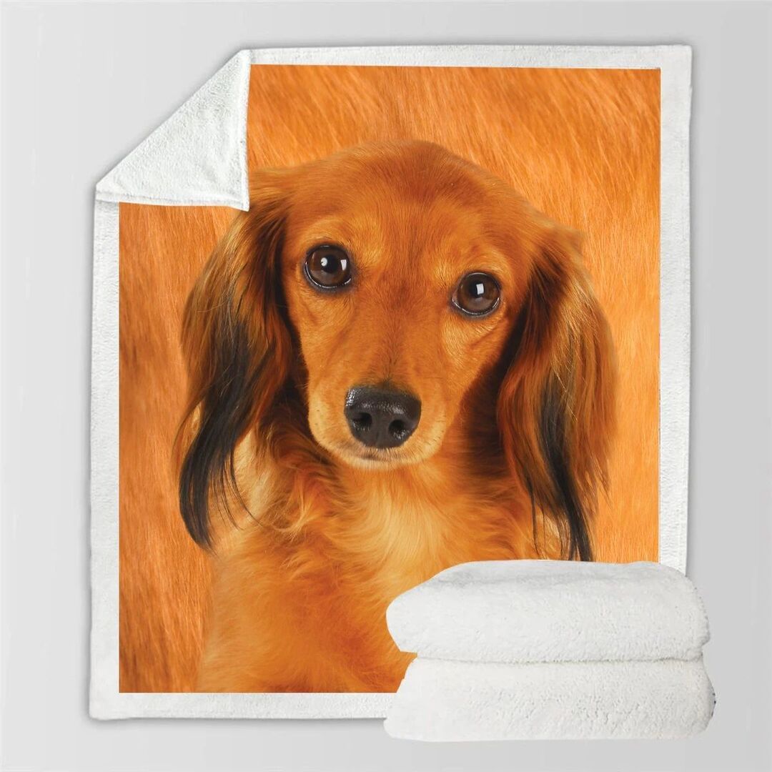 KTX-991315 Double-Sided Flannel Blanket for Air Conditioning - Soft Polyester Fiber, Ins Style, Multiple Fabric Weights