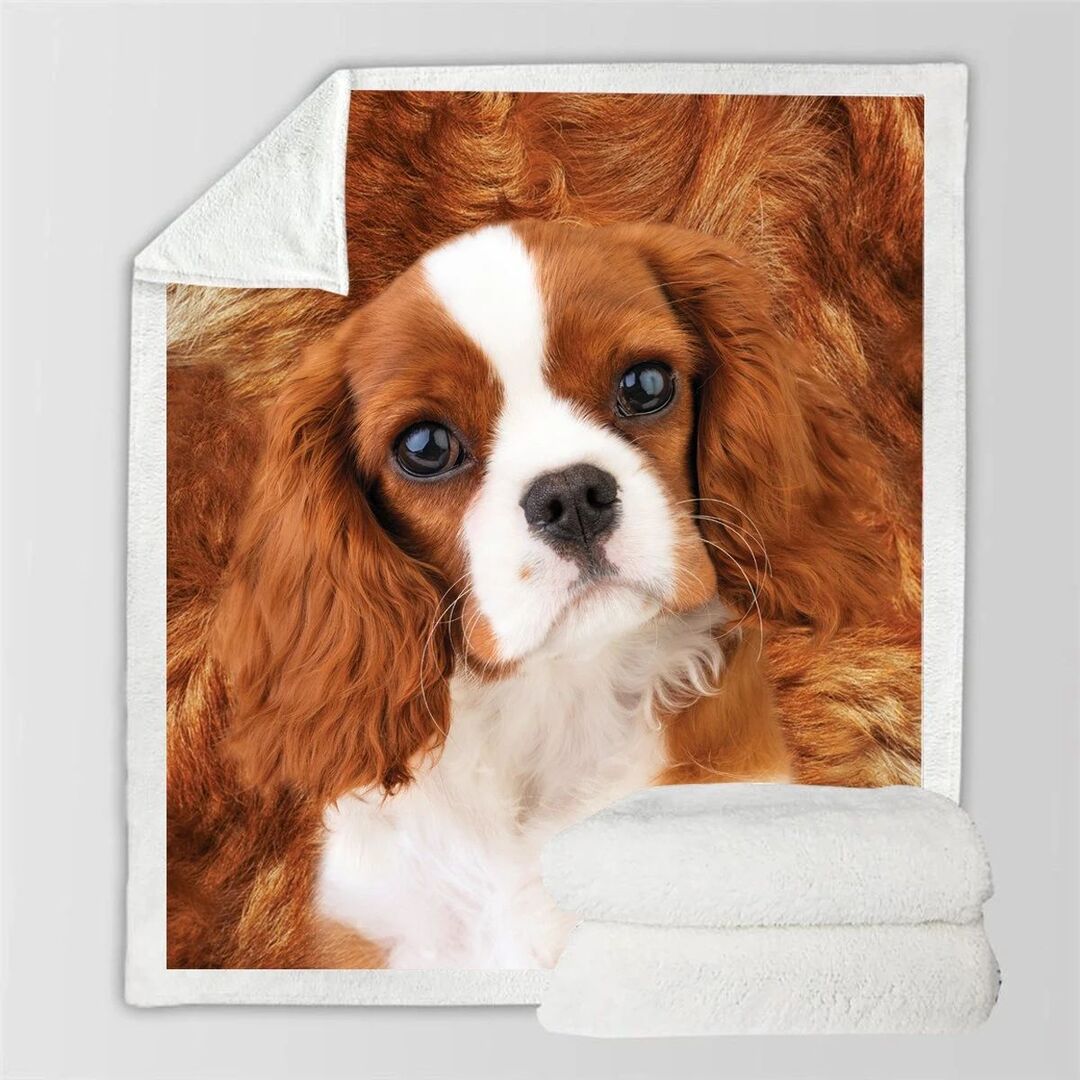 KTX-991315 Double-Sided Flannel Blanket for Air Conditioning - Soft Polyester Fiber, Ins Style, Multiple Fabric Weights