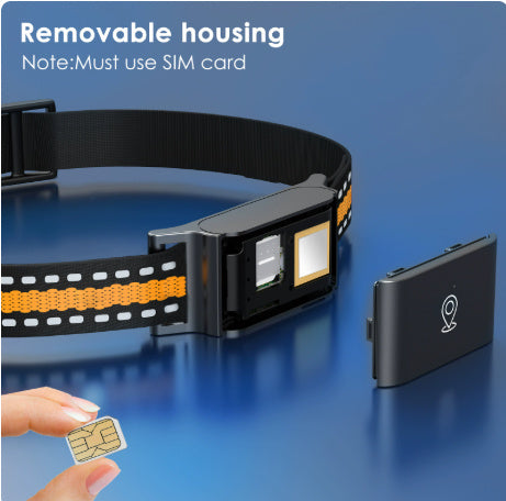 Pet Global Positioning Collar